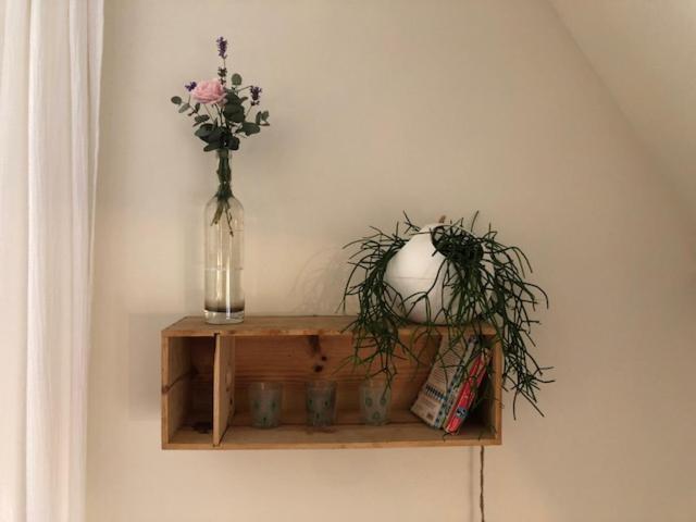 L'oasis Appartement